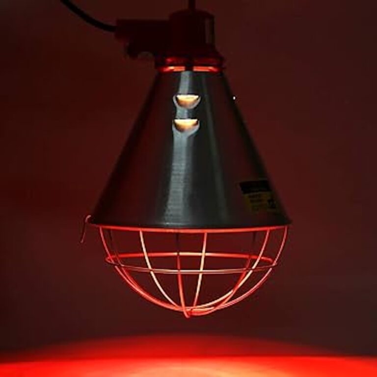 heat lamp for chicks 4